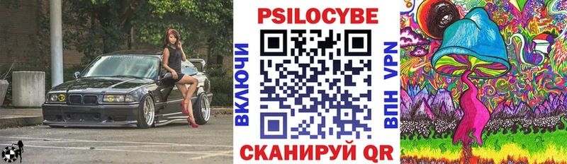 купить наркотики сайты  Ахтырский  Галлюциногенные грибы GOLDEN TEACHER 