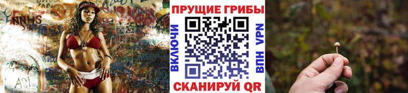 Галлюциногенные грибы Psilocybe Ахтырский